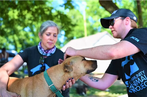 Giving Tuesday: Putting Motivation Into Action | The VEERAH Blog