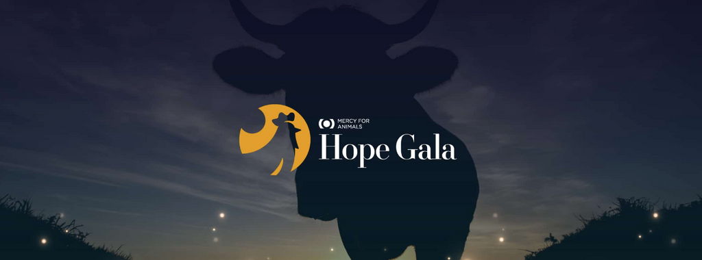 Stories of Courage, Compassion, and Strength at the Mercy For Animals Gala | The VEERAH Blog